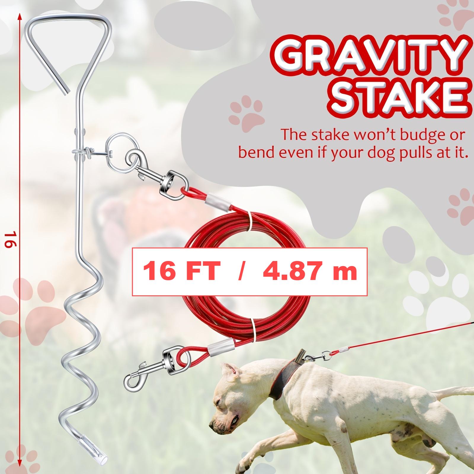 PawSecure Ground Tie-Out System