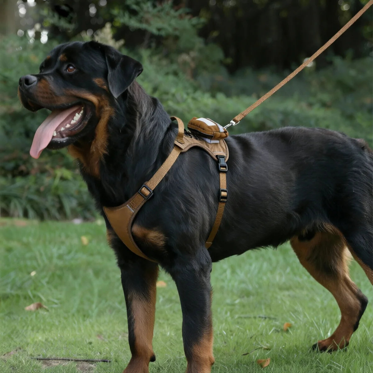 Tactical dog Harness With Bag & Leash Set