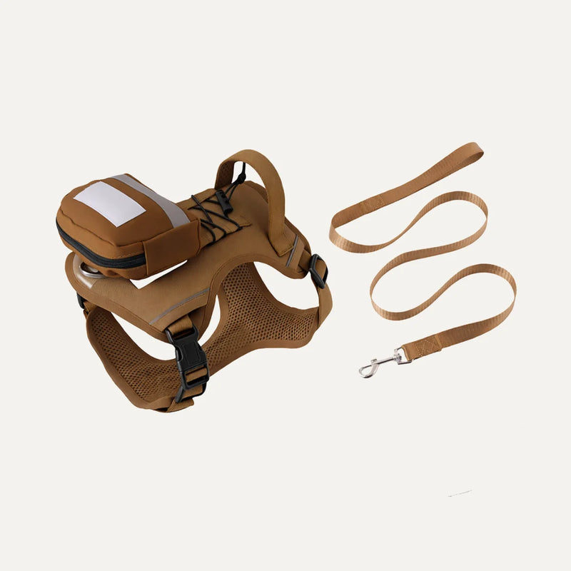 Dog Harness & Leash Showcase Images