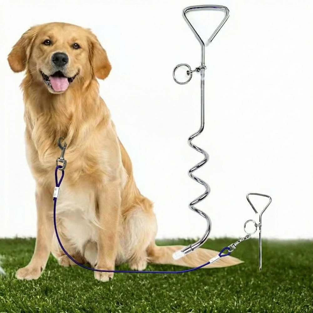 Howoll spiral dog tie-out stake with cable beside a golden retriever on grass