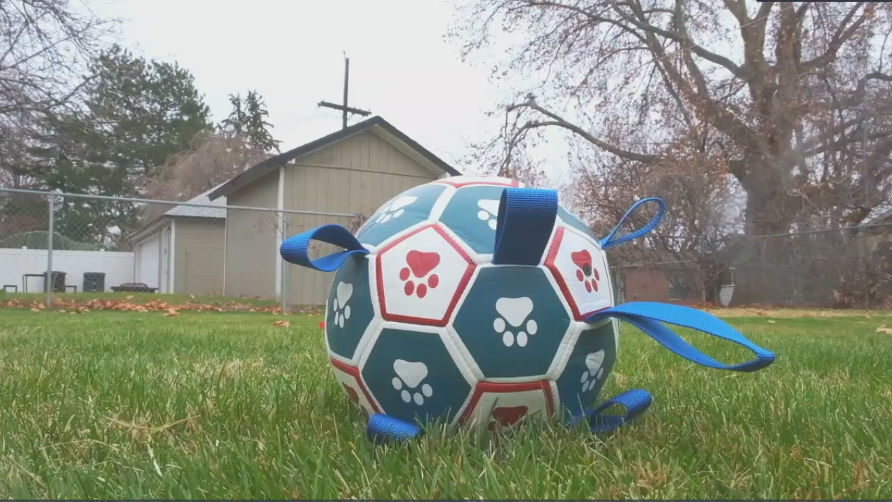 Load video: PawKick Dog Soccer Ball