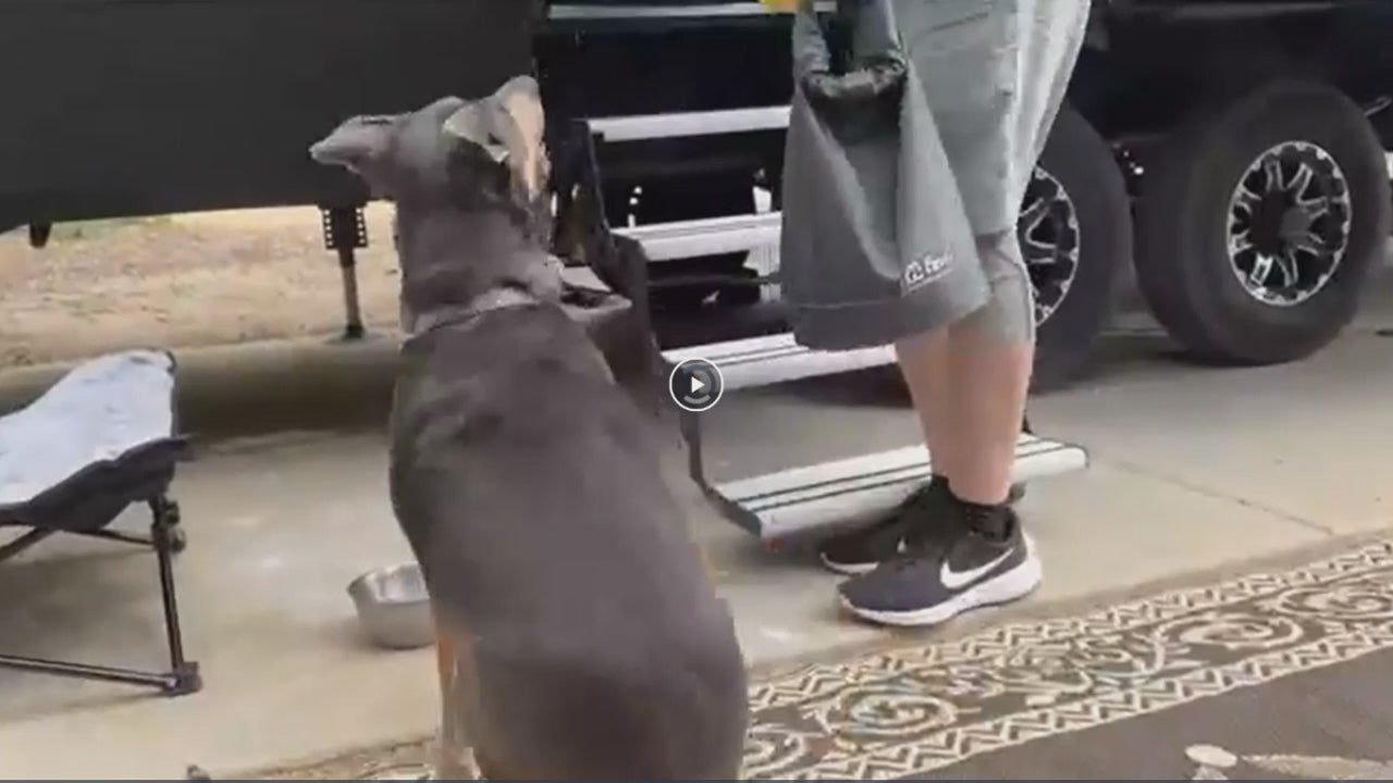 Load video: TrailMate Pet Food Storage