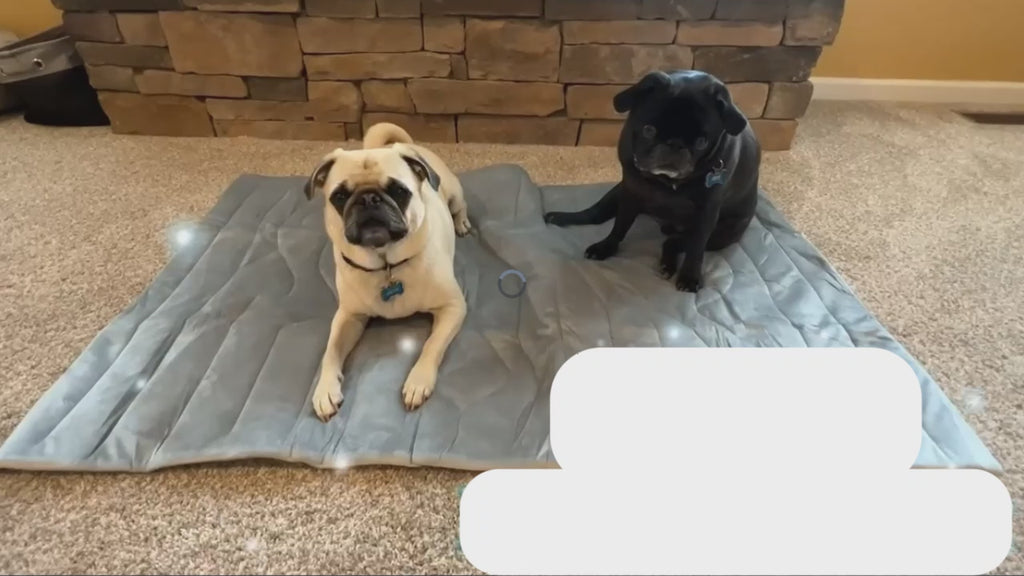 CoolPaws Cooling Pet Mat