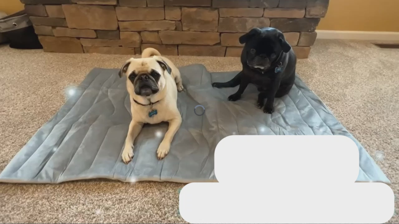Load video: CoolPaws Cooling Pet Mat
