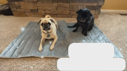 CoolPaws Cooling Pet Mat