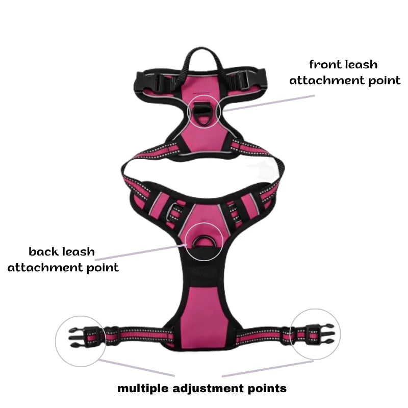 A no-pull dog harness with a white background, with labels indicating the front leash attachment point, back leash attachment point, and multiple adjustment points at the corresponding positions.